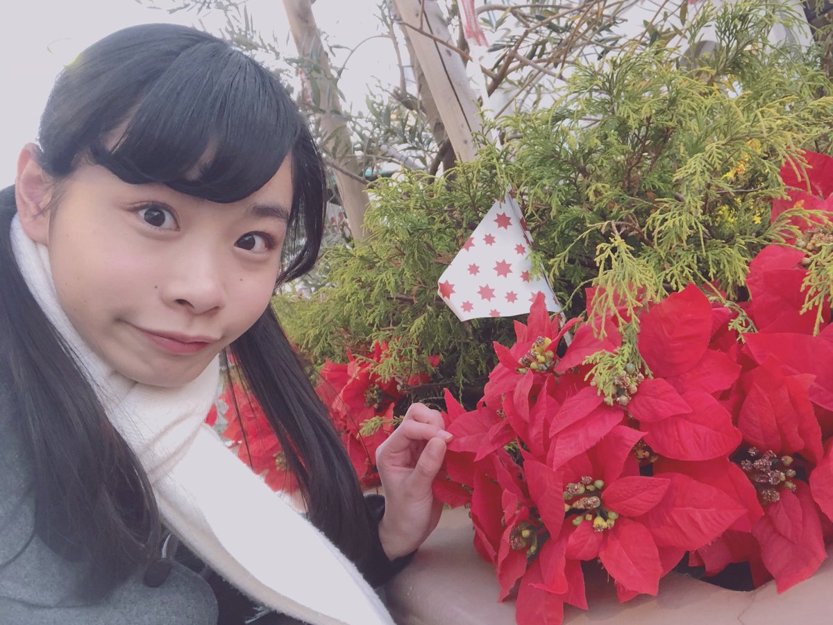 KOBerrieS クリスマスのお花💕🎄🎅⛄❄ https://t.co/g2qoqWLYnW #CHEERZ #ちあボイス https://t.co/0SI0PLWJEY