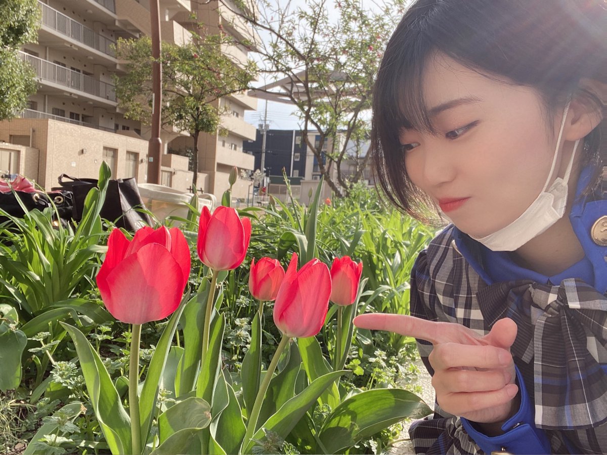 廣瀬未沙(みーちゃん)の画像 KOBerrieS おはようございます〜🤍明日から毎朝Twitterの下書きになってそのまま日の目を見ることなく置いておかれたツイートを載せていこうかなと思います🧸💭いつも載せたい時に下書きで置いておいて忘れちゃうタイプなの、載せたい時に載せるタイプに変えたいなぁ、今日も一日頑張ろう〜💪#コウベリ https://t.co/J9v2MjiCuz