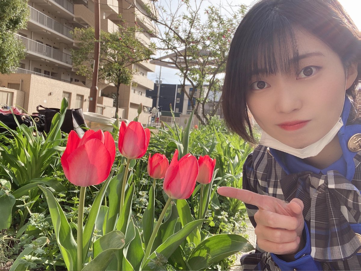 廣瀬未沙(みーちゃん)の画像 KOBerrieS おはようございます〜🤍明日から毎朝Twitterの下書きになってそのまま日の目を見ることなく置いておかれたツイートを載せていこうかなと思います🧸💭いつも載せたい時に下書きで置いておいて忘れちゃうタイプなの、載せたい時に載せるタイプに変えたいなぁ、今日も一日頑張ろう〜💪#コウベリ https://t.co/J9v2MjiCuz