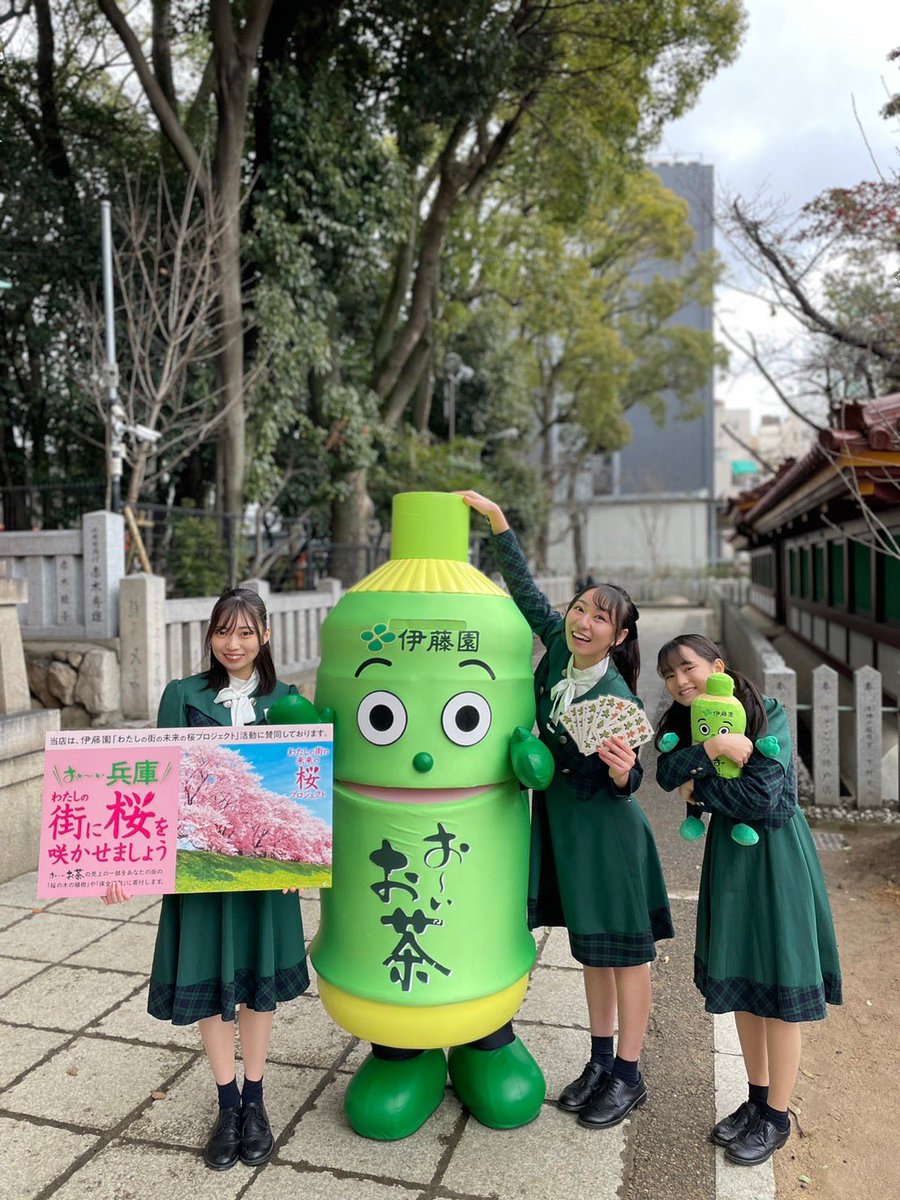 KOBerrieS 本日は生田神社で行われた伊藤園さま『わたしの街の未来の桜プロジェクト』に参加させて頂きました✨このような貴重な体験をさせていただけること本当に光栄に思います🥺ありがとうございました🙇‍♀️お〜いお茶くん（@oiochakun ）可愛かった〜🥰🥰🥰#コウベリ #コウベリ https://t.co/WzuLsW0gfK