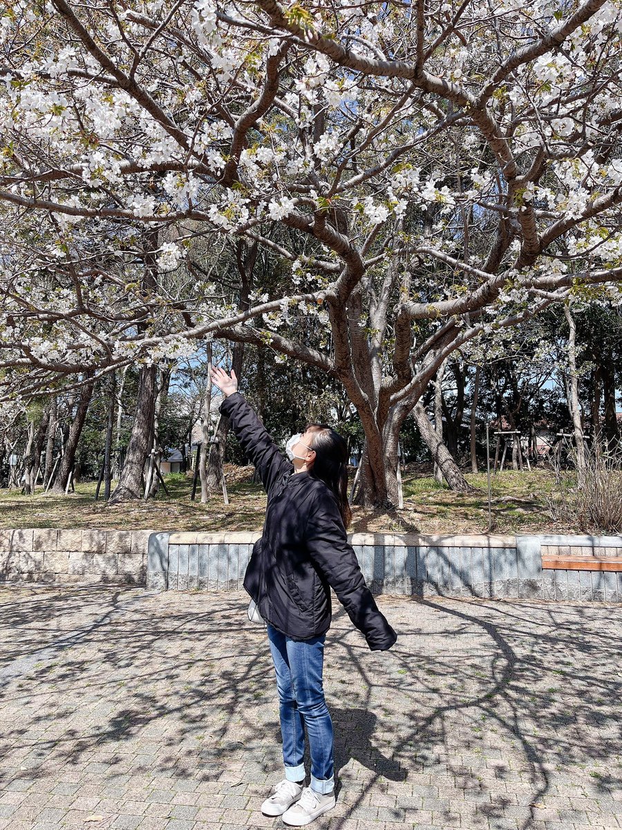 KOBerrieS 今日！！！14時〜お花見です！⸜🙌🏻⸝‍楽しみやー！！晴れてよかった！！！⋆⸜🌷⸝‍⋆ほんまにお花見とか何年ぶりやろ…🤔#コウベリ https://t.co/EmeOeeiUFN